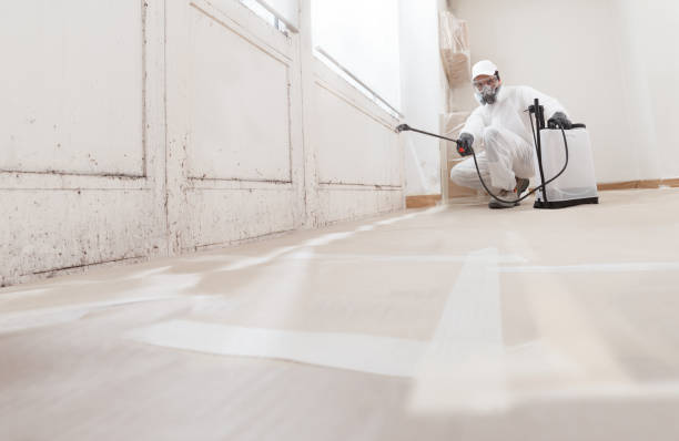 24/7 Emergency Mold Testing experts in Apex, NC