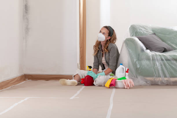 Reliable Mold Testing contractor in Apex, NC by WQB Mold Removal